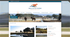 Desktop Screenshot of biglick.com