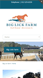 Mobile Screenshot of biglick.com
